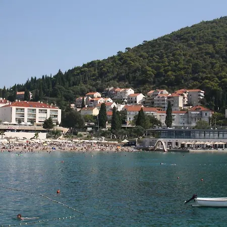 Irma دوبروفينك