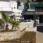 Irma دوبروفينك